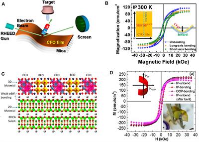 Recent Progress in Flexible Multiferroics